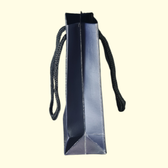 Wings Dior Sneaker Gift Bag