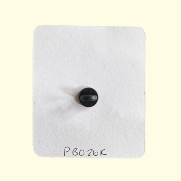 Harry Potter Sirius Black Pin Badge