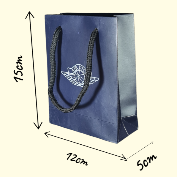 Wings Dior Sneaker Gift Bag