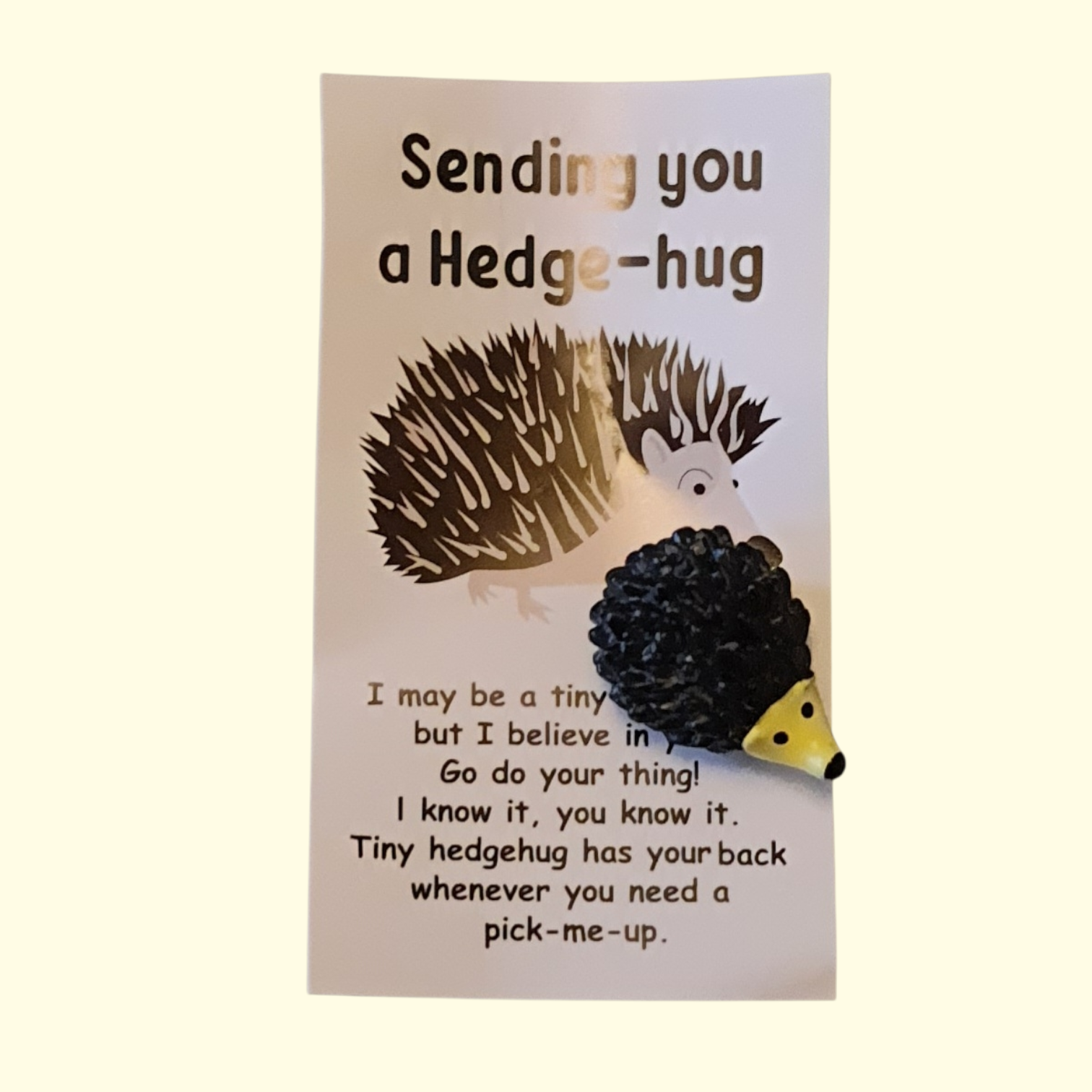 Hedge Hug Hedgehog Pocket Hug