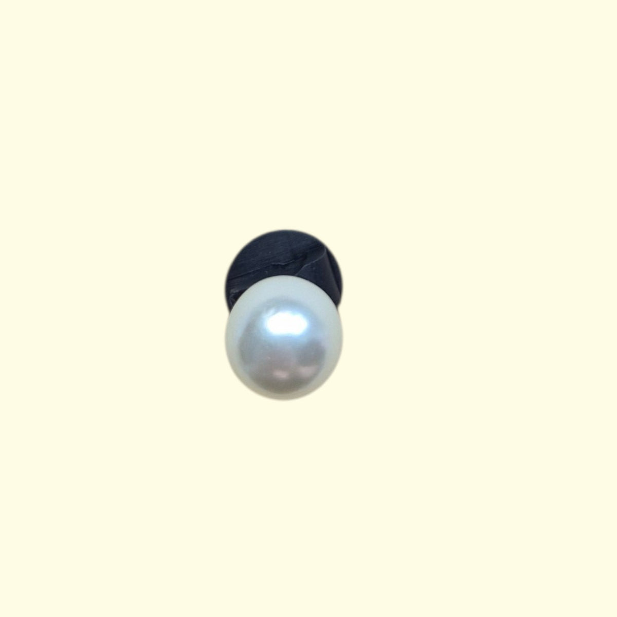 Pearl Teddy Crocs Charms x4