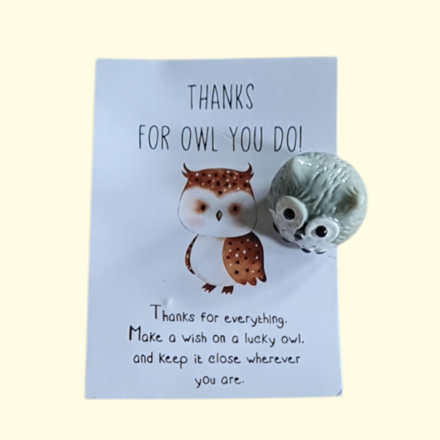 Thanks For Owl You Do Owl Pocket Hug