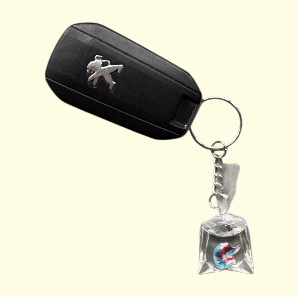Fish In A Bag Red Keyring