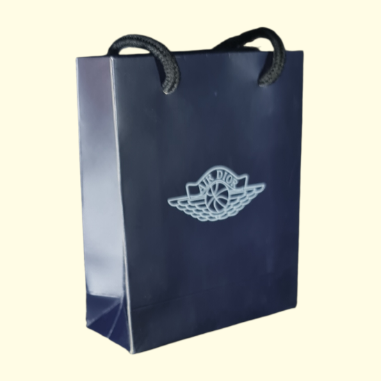 Wings Dior Sneaker Gift Bag