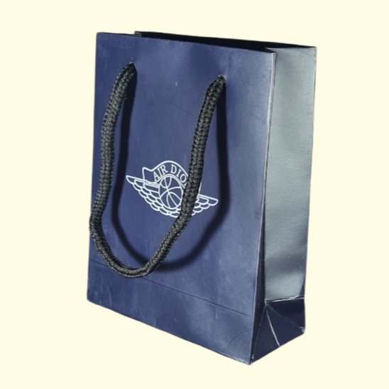 Wings Dior Sneaker Gift Bag