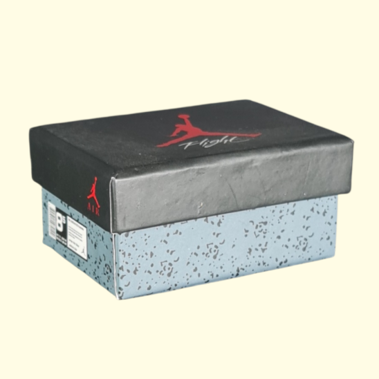 Flight Sneaker Gift Box
