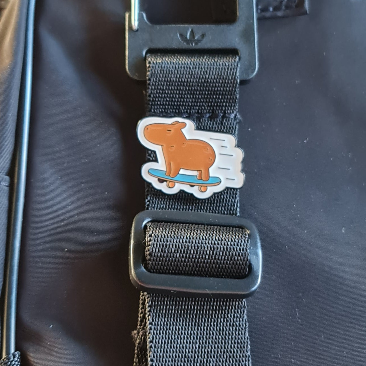 Capybara Skateboard Pin Badge